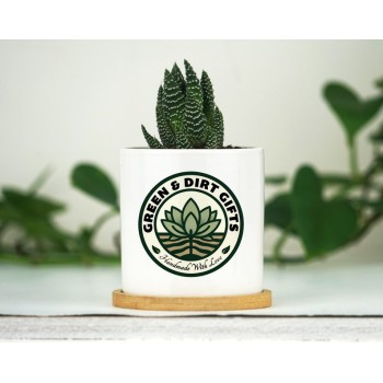 High Quality Bulk Planters With Custom Logo - 3" White Pot w/ Tray - Corporate Christmas Gifts - Company Gift - Bulk Client Gifts, Bulk Christmas Gifts